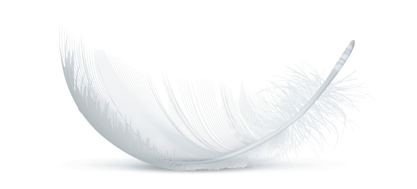 feather